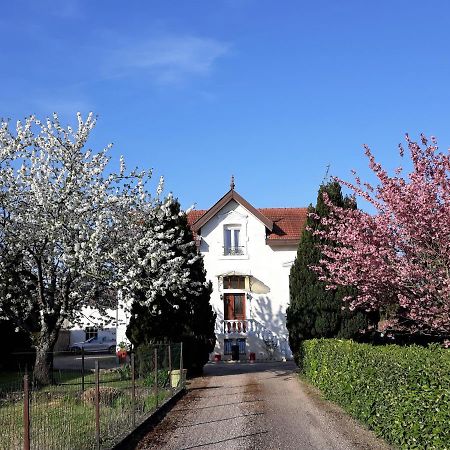 La Maison Mirabeau Verdun-sur-Meuse Esterno foto